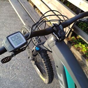 2021 Trek Powerfly 4 Silver, gray or bare metal and Green