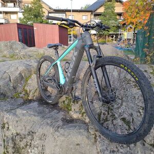 2021 Trek Powerfly 4 Silver, gray or bare metal and Green