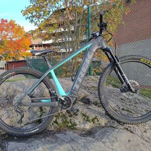 2021 Trek Powerfly 4 Silver, gray or bare metal and Green