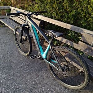 2021 Trek Powerfly 4 Silver, gray or bare metal and Green