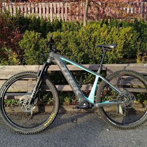 2021 Trek Powerfly 4 Silver, gray or bare metal and Green