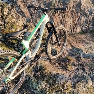 2021 Canyon bicycles Torque CF8 Green and Silver, gray or bare metal