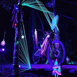 2021 Canyon bicycles Torque CF8 Green and Silver, gray or bare metal