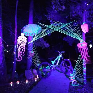 2021 Canyon bicycles Torque CF8 Green and Silver, gray or bare metal