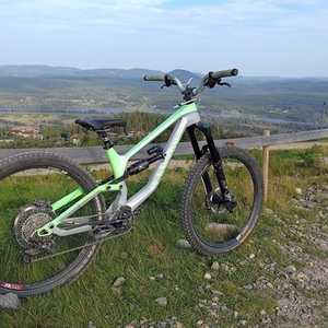 2021 Canyon bicycles Torque CF8 Green and Silver, gray or bare metal