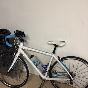 2014 Trek Lexa SLX (Compact or Triple) White, Teal, and Blue