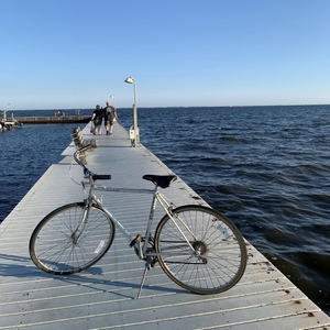 2025 2nd bike with different parts Schwinn White