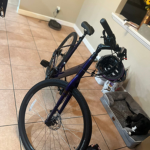 Trek Verve 3 Purple