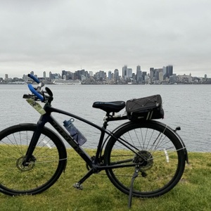 2023 Trek FX Sports 5 Blue