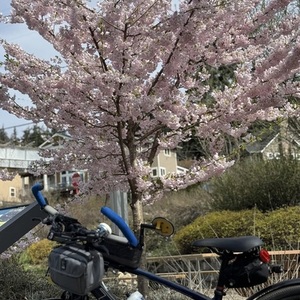 2023 Trek FX Sports 5 Blue