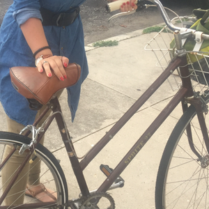 Raleigh Sprite 27 Brown