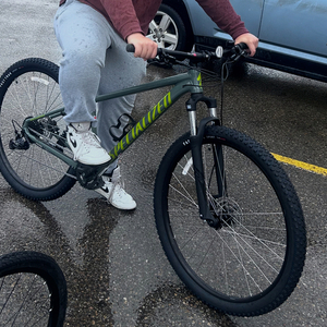 2025 Specialized Specialized Rockhopper 29 Green