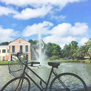 Raleigh Sprite 27 Brown