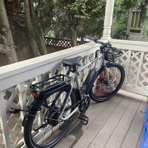 2021 Rad Power Bikes Radmission 1 Silver, gray or bare metal and Black