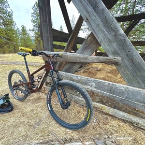 2025 Santa Cruz Bronson Brown