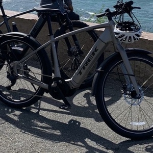 2025 Trek Allant + 8S Silver, gray or bare metal