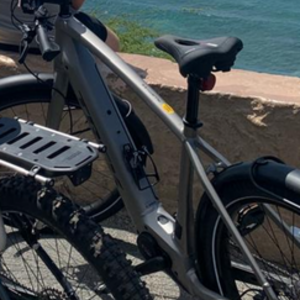 2025 Trek Allant + 8S Silver, gray or bare metal