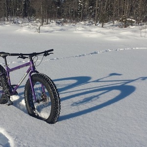 Motobecane Lurch Purple