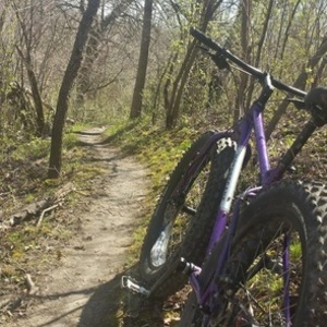 Motobecane Lurch Purple