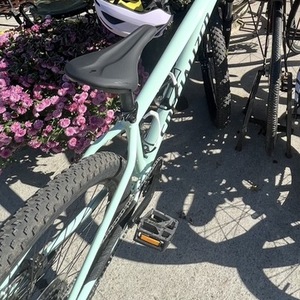 2024 Specialized Rockhopper Comp 27.5 Green