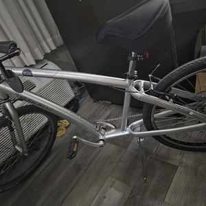 2025 Trek Pure Silver, gray or bare metal