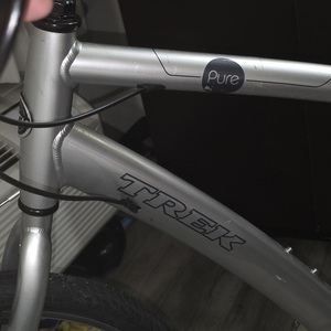 2025 Trek Pure Silver, gray or bare metal