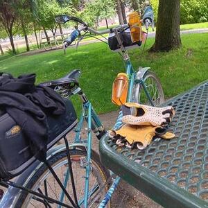 2023 Rivendell Bicycle Works Clem Smith Jr. Low bar Blue