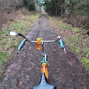 2023 Rivendell Bicycle Works Clem Smith Jr. Low bar Blue