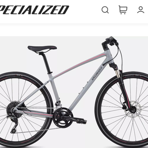 2018 Specialized Ariel Silver, gray or bare metal