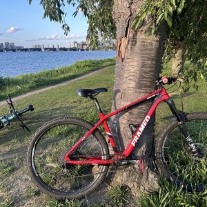 2019 FRAMED Bobtrax Red