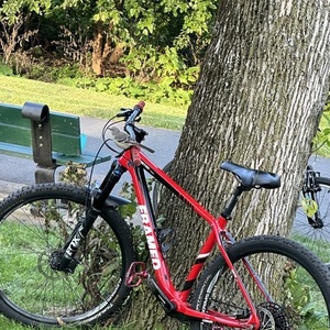 2019 FRAMED Bobtrax Red