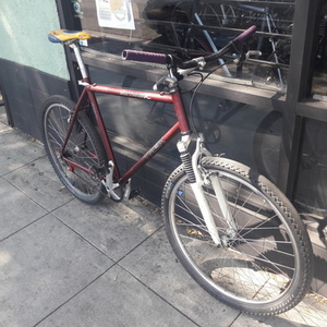 1994 Trek 850 Purple