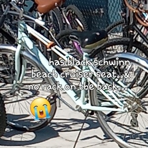 Schwinn Admiral Teal