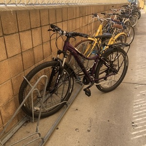 2017 Trek Skye WSD 15.5” Purple