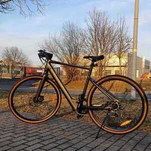 2024 fiido c21 Black