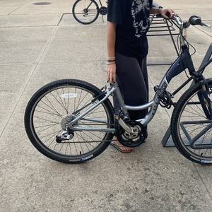 Trek Navigator 300 Silver, gray or bare metal