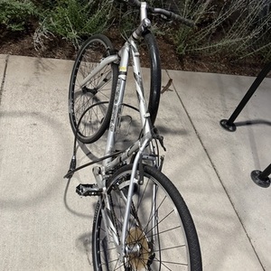 2025 Trek Alpha Superlight Silver, gray or bare metal