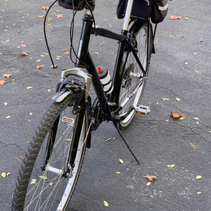 2015 Diamondback Edgewood Black