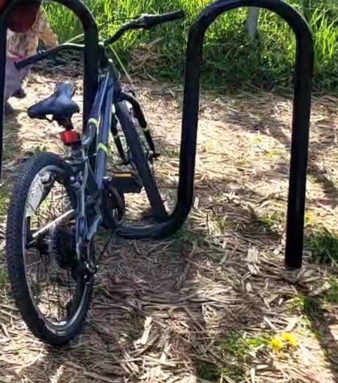 Stolen 2024 Raleigh Meteor Youth Bike