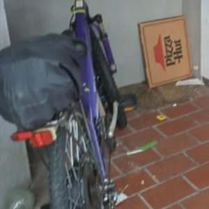 Schwinn Sidewinder Purple