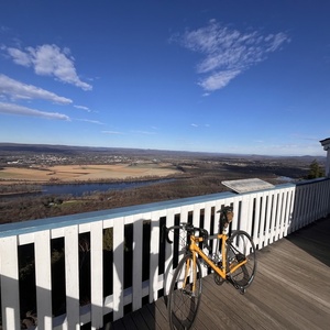 2004 Litespeed Vela Yellow or Gold