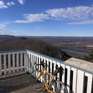 2004 Litespeed Vela Yellow or Gold