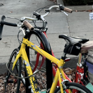 Giant TCR 2 Yellow or Gold