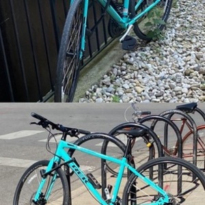 2019 Trek 19 FX 2 DISC WSD MIAMIGRN 17 MED Teal