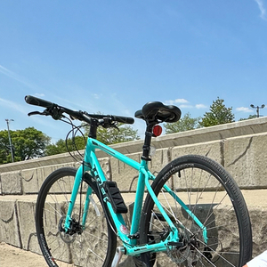 2019 Trek 19 FX 2 DISC WSD MIAMIGRN 17 MED Teal
