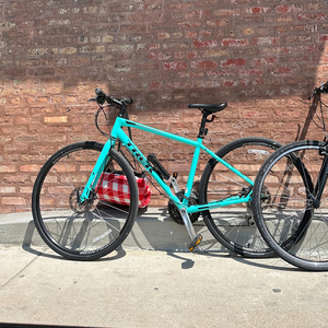 2019 Trek 19 FX 2 DISC WSD MIAMIGRN 17 MED Teal