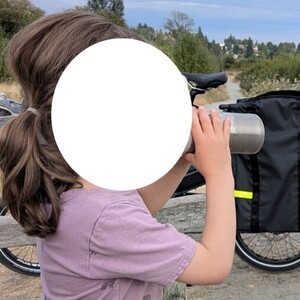 2025 Tern HSD P5i Gen 2 LR Green