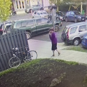 2015 Linus Roadster 8 Blue