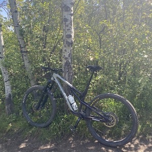 2021 Rocky Mountain Bicycles Instinct C50 Silver, gray or bare metal and Purple