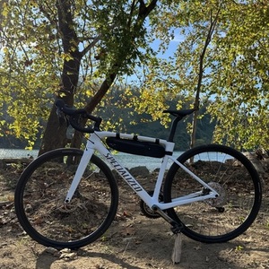 Specialized Roubaix White
